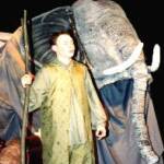 Noah and the Elephant